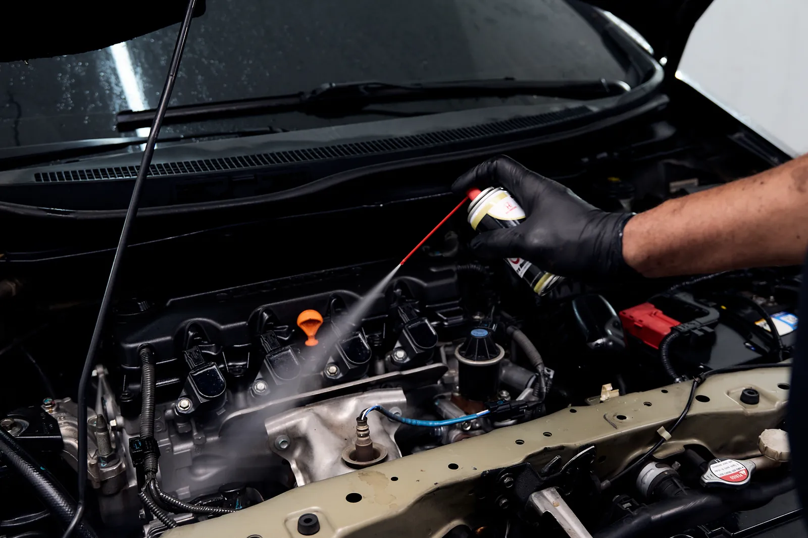 Profissional limpando tecnicamente o motor de um veículo